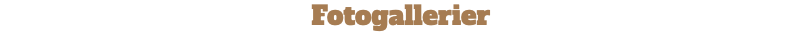 Fotogallerier